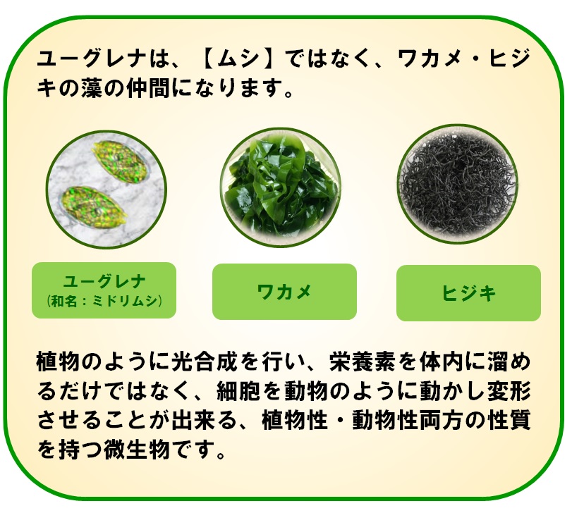 野菜不足が気になる方に 手軽に摂取できる タケダのユーグレナ 緑の習慣 健康および医薬品 健康食品に特化した情報サイト コクミンドラッグ
