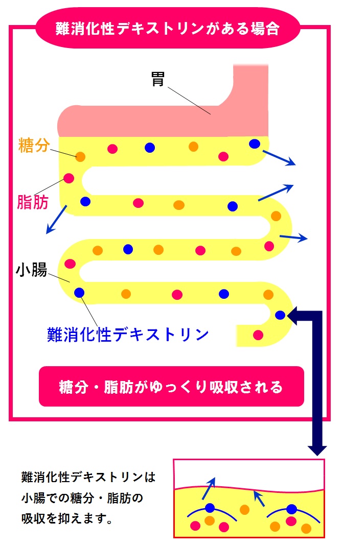 好きなモノをいっぱい食べたい 食事制限をしないで 糖分 脂肪の吸収を抑える方法を教えます 賢者の食卓 ダブルサポート 健康および医薬品 健康食品に特化した情報サイト コクミンドラッグ 好きなモノをいっぱい食べたい 食事制限をしないで 糖分 脂肪の吸収を抑える方法を教えます 賢者の食卓 ダブルサポート 健康および医薬品 健康食品に特化した情報サイト コクミンドラッグ