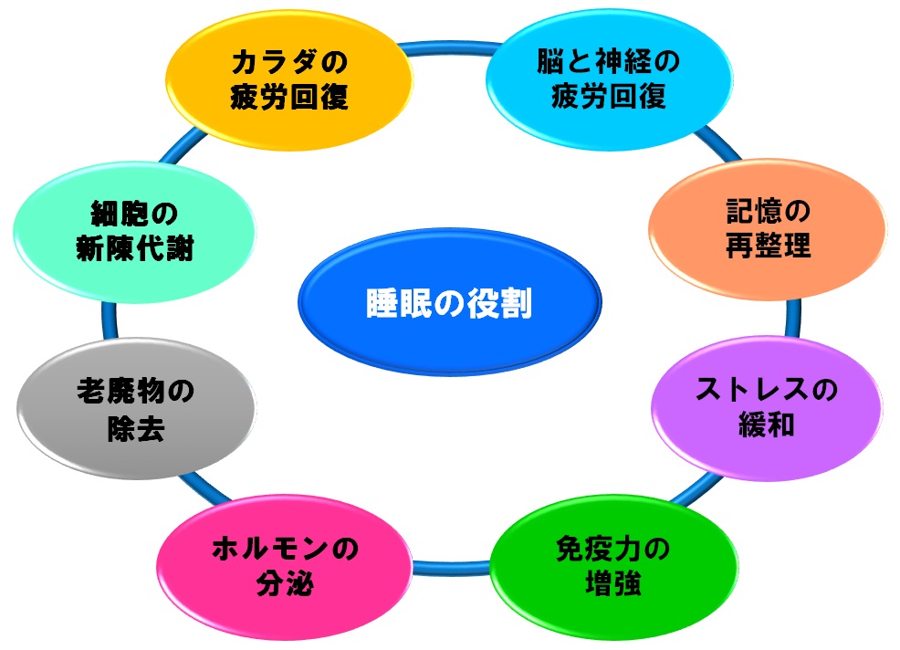 あなたは毎晩ぐっすり眠れていますか？／眠れずにつらい思いをしている方に、眠気を誘う方法を教えます！ | 健康および医薬品・健康食品に特化した情報サイト/コクミンドラッグ