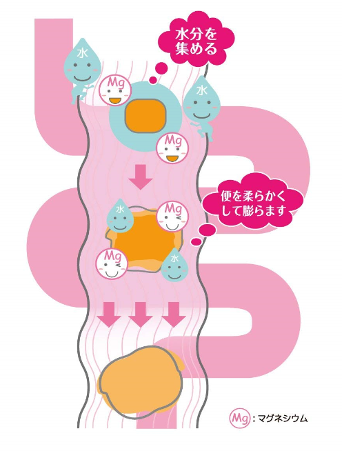 便秘でお悩みの方に 5歳から服用できる 非刺激性の便秘薬 酸化マグネシウムe便秘薬 健康および医薬品 健康食品に特化した情報サイト コクミンドラッグ 便秘でお悩みの方に 5歳から服用できる 非刺激性の便秘薬 酸化マグネシウムe便秘薬 健康および医薬品 健康食品に特化した情報サイト コクミンドラッグ